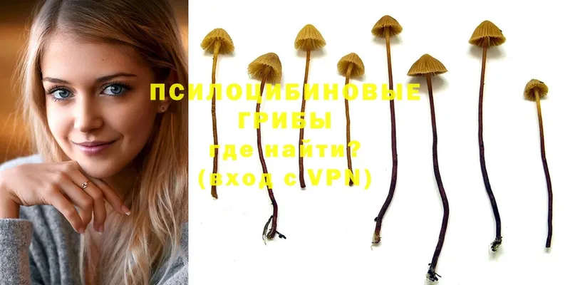 Галлюциногенные грибы MAGIC MUSHROOMS  hydra ССЫЛКА  Благодарный  продажа наркотиков 